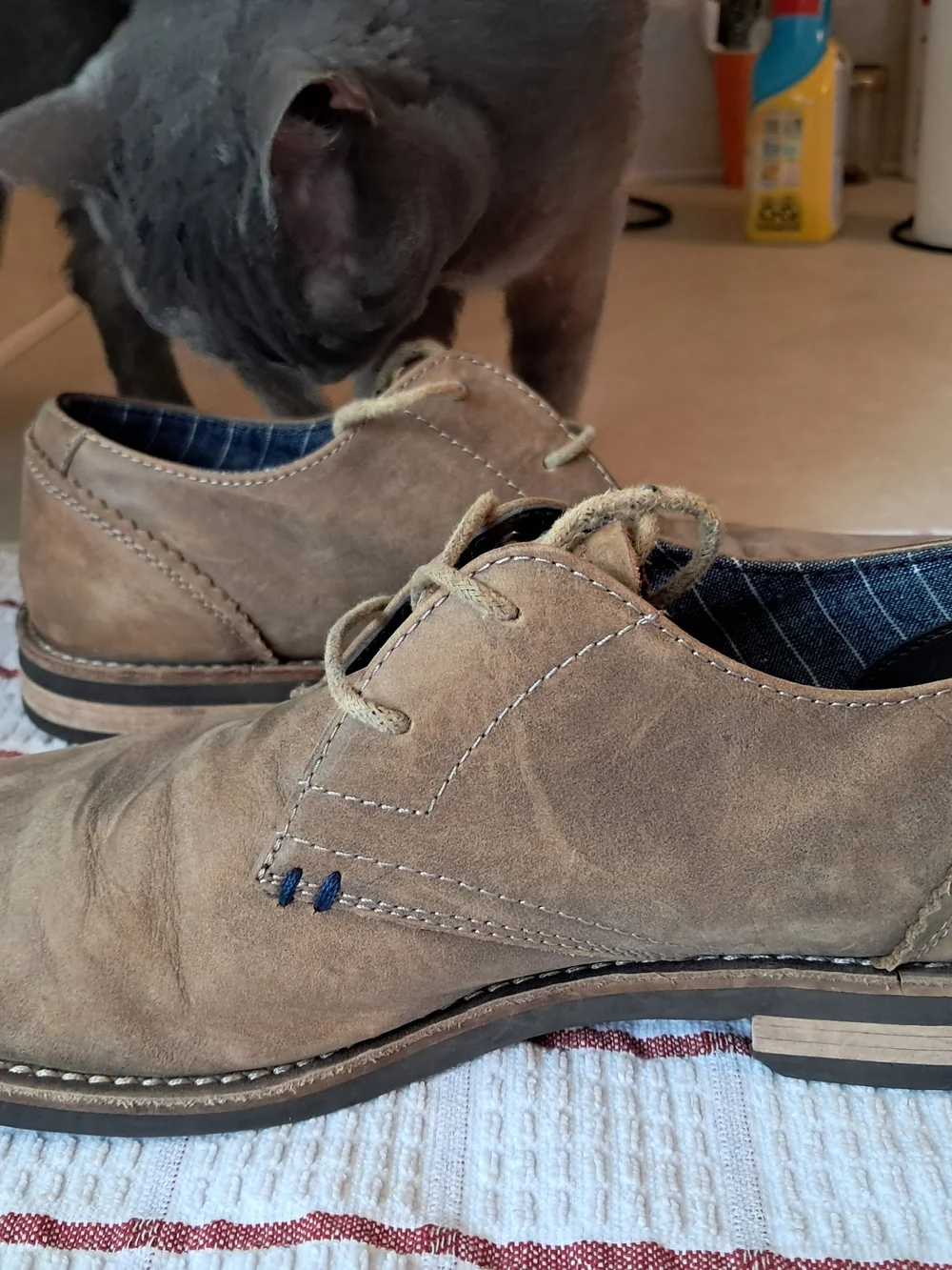 Original Penguin Wade Mens Oxford Shoes Size 10 Brown Suede Derby OP100139